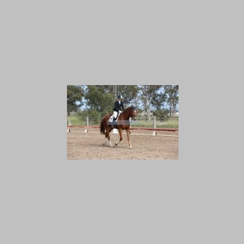 JHT_0472.JPG