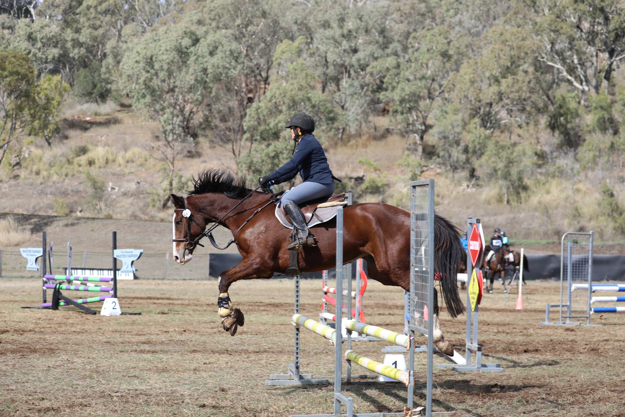 No Photo Available