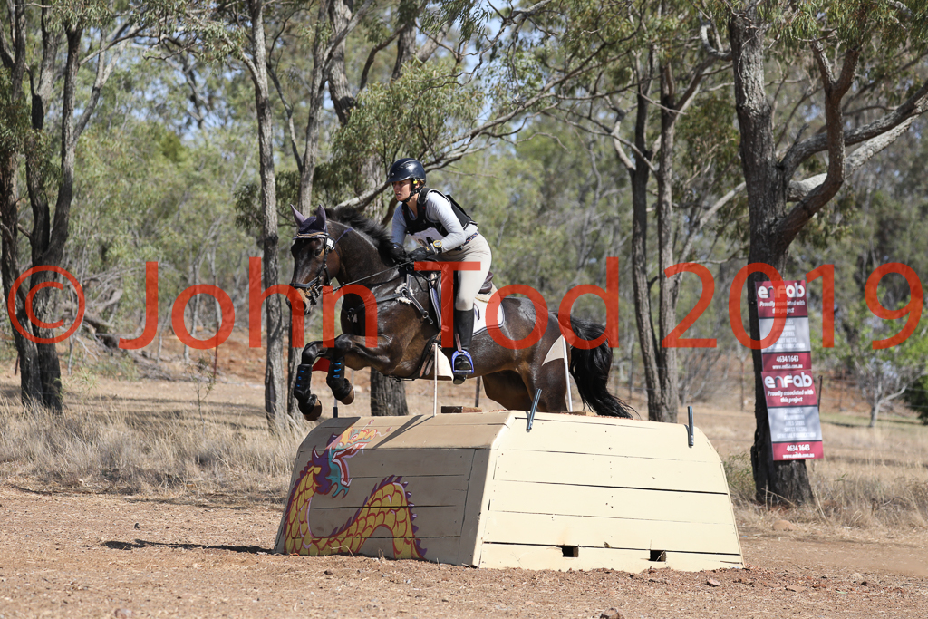 JHT_0620.JPG   09:08:28  06/10/2019  Copyright John H Tod 2019