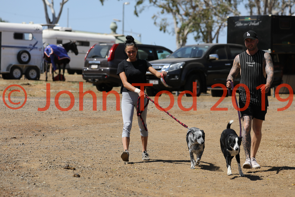 JHT_0325.JPG   13:06:21  05/10/2019  Copyright John H Tod 2019