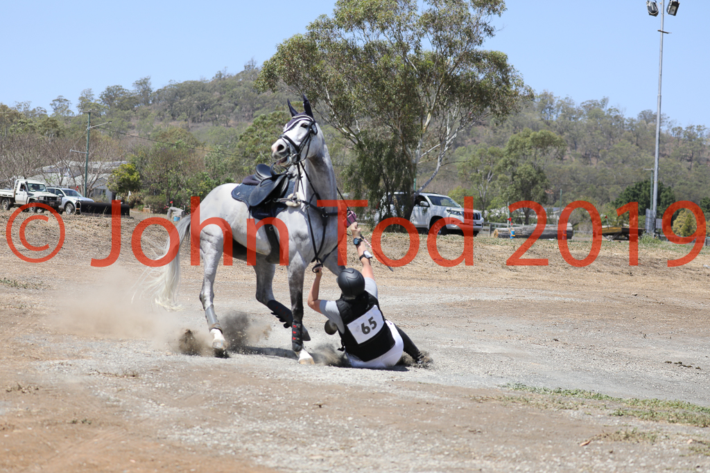 JHT_0792.JPG   11:21:12  06/10/2019  Copyright John H Tod 2019