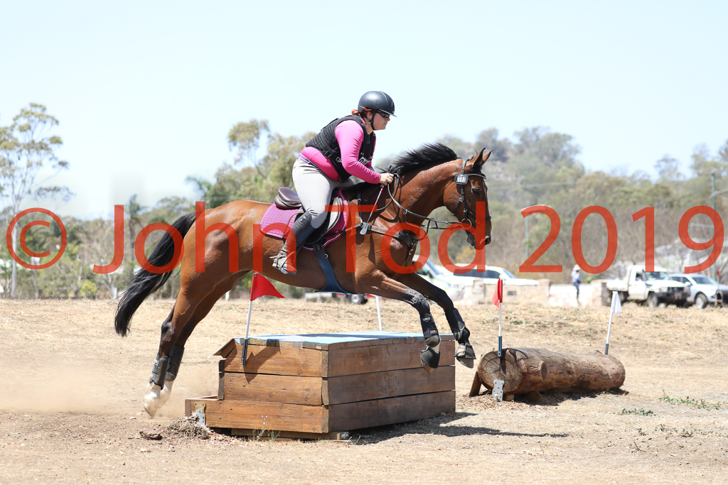 JHT_0828.JPG   11:31:58  06/10/2019  Copyright John H Tod 2019