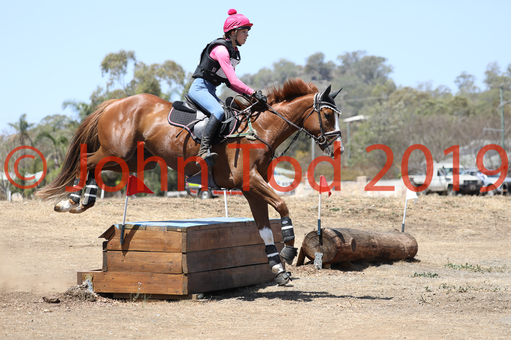 JHT_0835.JPG   11:52:47  06/10/2019  Copyright John H Tod 2019
