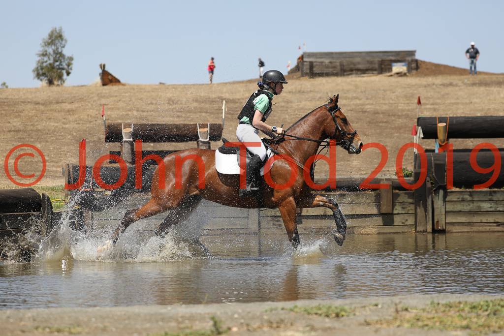 JHT_0695.JPG   10:49:12  06/10/2019  Copyright John H Tod 2019