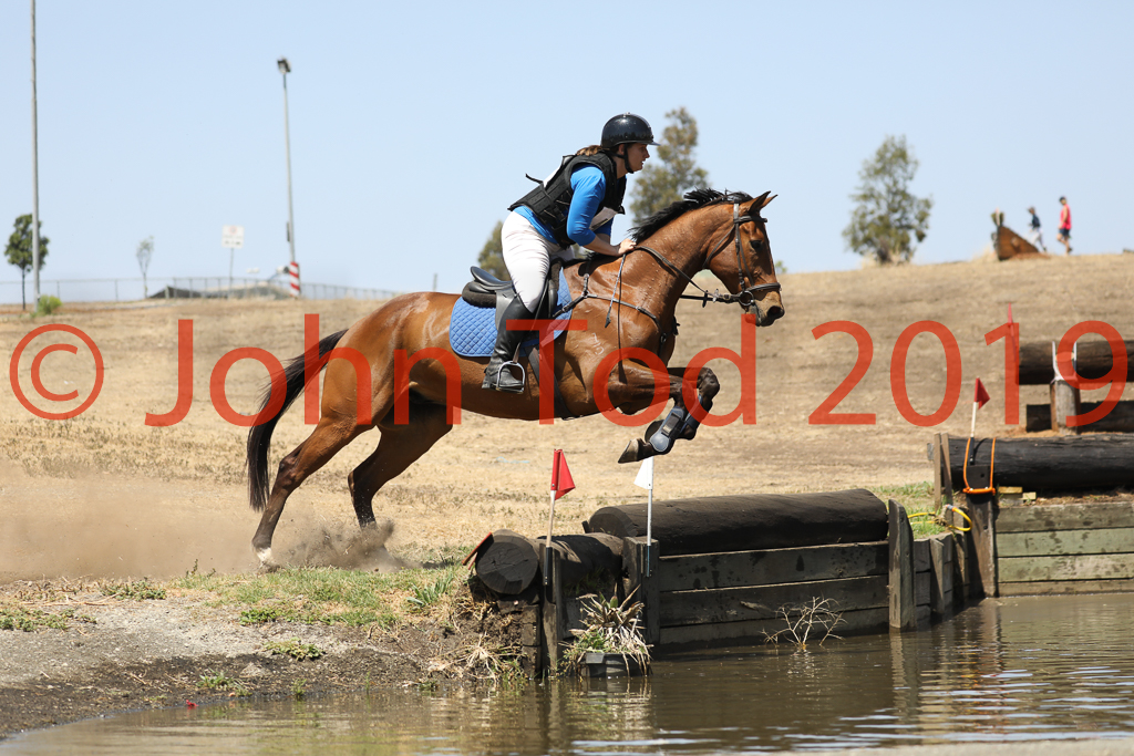 JHT_0696.JPG   10:50:04  06/10/2019  Copyright John H Tod 2019