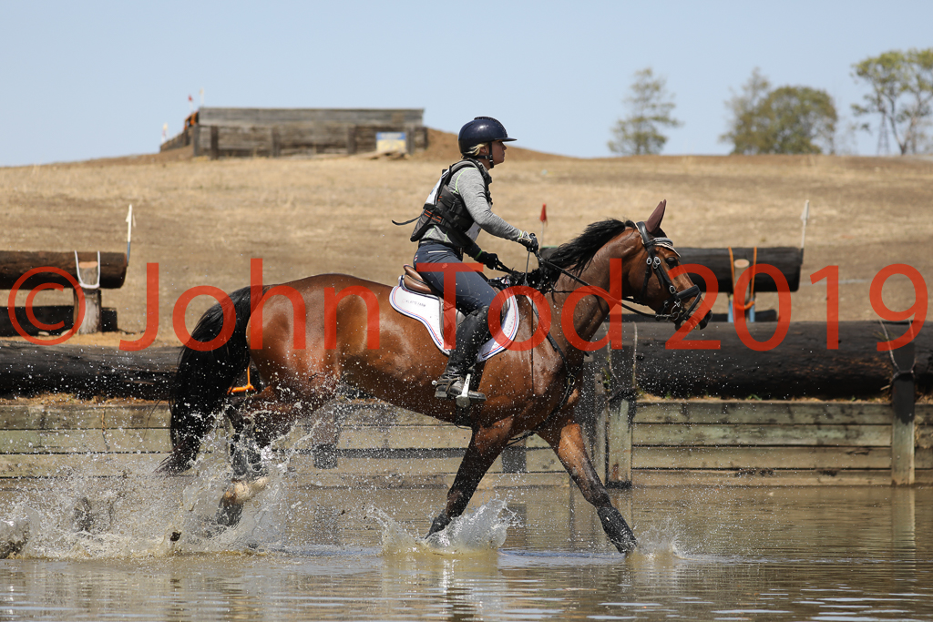 JHT_0734.JPG   10:57:10  06/10/2019  Copyright John H Tod 2019