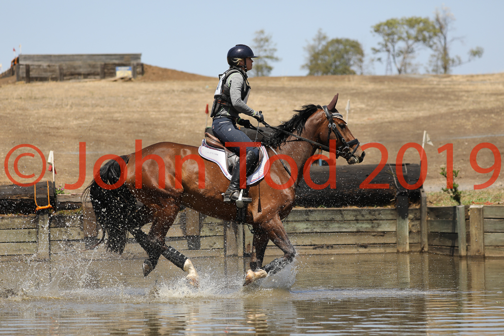 JHT_0735.JPG   10:57:10  06/10/2019  Copyright John H Tod 2019