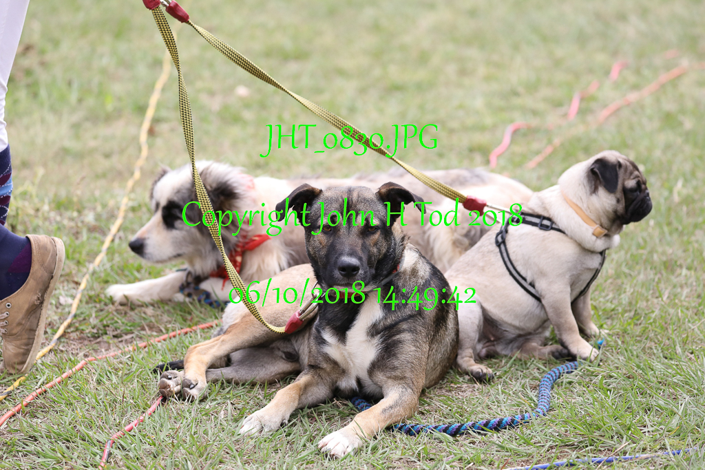 JHT_0830  Time: 14:49:42 on Oct 06/10/2018