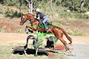 %_tempFileNameJHT_1362%